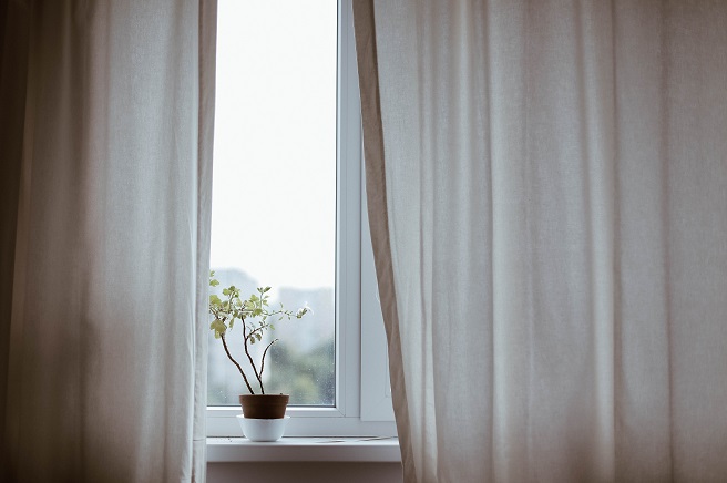 Satin curtains and plant on window sill
