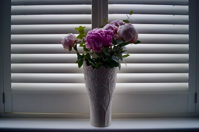 Window with shutters and vase with flower in front